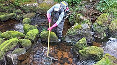 V�dci chystají projekt zam��ený na sledování populace pstruh� ve 200 lokalitách...