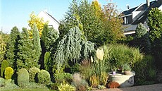 B�hem sedmi let se zele� krásn� zapojila. 