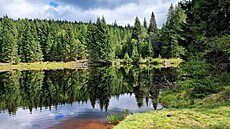 ��árecké jezírko je um�le vytvo�ená vodní nádr� na potoce �astá. V minulosti...