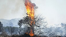 Poár lesa ve vesnici Vati na ostrov Rhodos (25. ervence 2023)