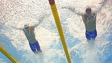 Plavec Daniel Gracík