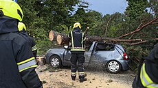Bouře na severu Chorvatska vyvracela stromy. (19. července 2023)