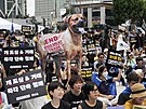 Ochránci práv zvíat protestují v Soulu za zákaz tradiního chovu ps pro maso....