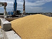 Hromada kukuřice na molu v mořském přístavu Izmajil v Oděské oblasti (22....