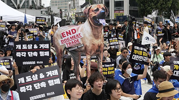 Ochrnci prv zvat protestuj v Soulu za zkaz tradinho chovu ps pro maso. (8. ervence 2023)