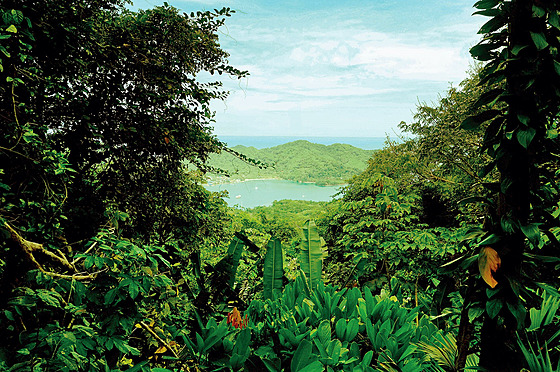 Rozlehlý, neprostupný a bainatý detný prales Darién Gap na hranicích Kolumbie a Panamy.