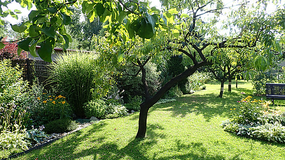 ist uitkovou zahradu se zeleninovými záhony a ovocnými stromy manelé v...
