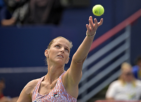 Karolína Plíšková