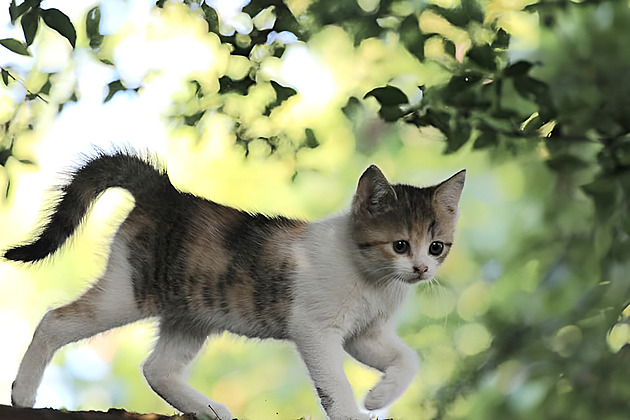 Zahrada je jako dítě, chce vaši neustálou péči a lásku, říká o svém ráji