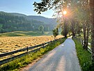 enkova domaija ve Slovinsku  píjezdová cesta k rodinné farm v ranním slunci