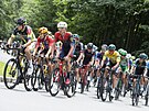 Jakub Otruba na ele pelotonu ve stoupání bhem tvrté etapy Czech Tour