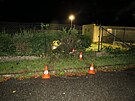 �idi� havaroval v Kostelci nad Orlic� na h�i�ti s um�lou tr�vou. (3. srpna 2023)