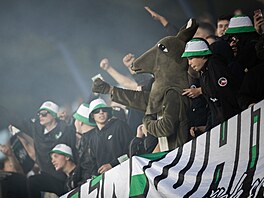 Klokan, maskot fotbalových Bohemians, v kotli bhem utkání s Bodö/Glimt.