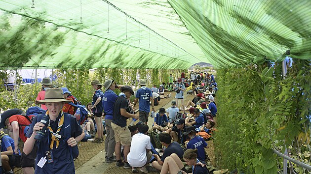 astnci svtovho skautskho jamboree odpovaj ve stnu na skautskm tboiti v jihokorejskm Buanu. (4. srpna 2023)