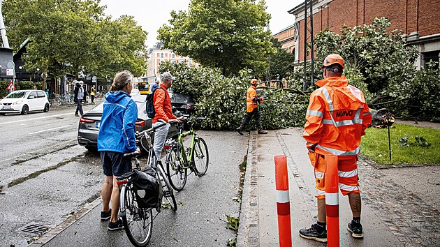 Spadl strom po boui v Kodani (7. srpna 2023)