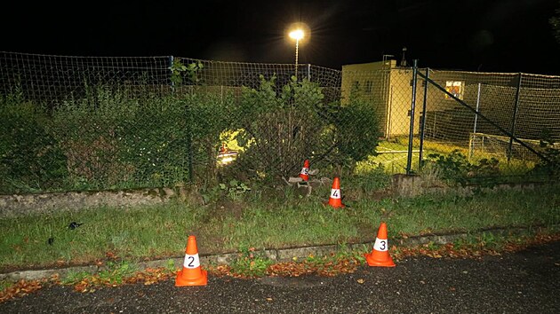 �idi� havaroval v Kostelci nad Orlic� na h�i�ti s um�lou tr�vou. (3. srpna 2023)