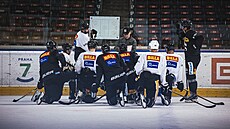 Hokejisté Sparty poslouchají na tréninku pokyny Miroslava Hořavy.