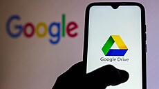 Google disk - ilustra�ní snímek