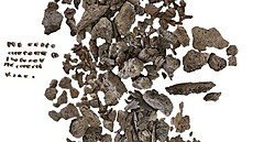 Sto padesát gram�. Jen tolik zbylo z ostatk� �enina t�la.