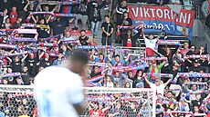 Plzetí fanouci bhem utkání proti Baníku Ostrava