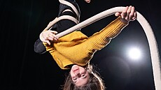 Al�b�ta Tichá na vertikálním lan�.