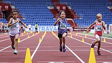 V �eské populaci ubývají mezi dosp�lými i d�tmi ti, kte�í by zvládli v�t�í...