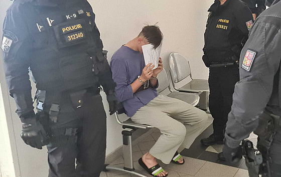 Mladík obvinný z pokusu o vradu patnáctileté dívky v Plzni (11. srpna 2023)