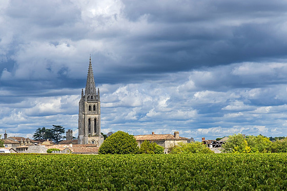 Vinice v blízkosti francouzského msta Saint-Emilion (Akvitánie, Gironde)