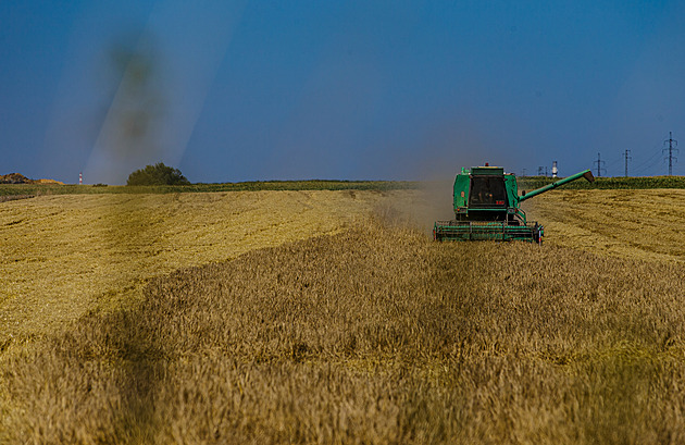 Žně začaly. Farmáři se bojí, že příliš dobrá úroda bude tlačit ceny dolů