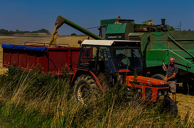 Deště krajině na Hané prospěly, pomohly kukuřici i cukrové řepě