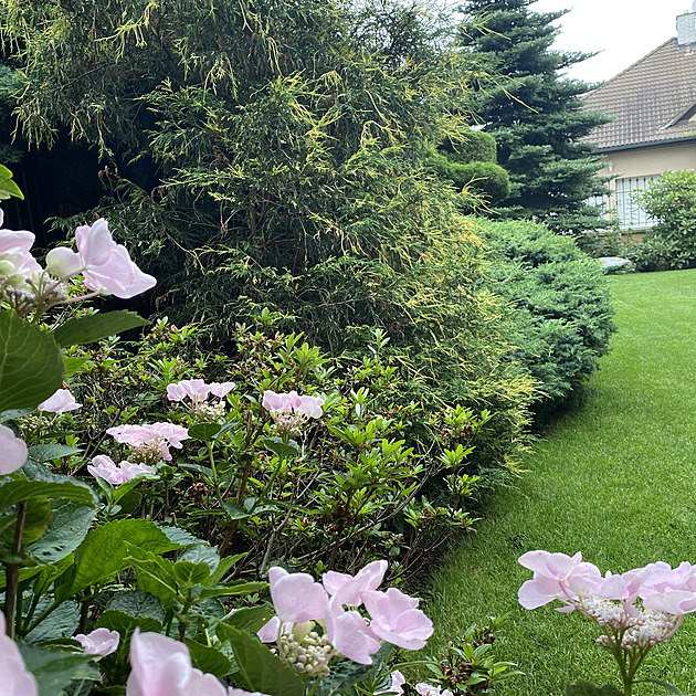 Opečovávají okurky na oknech, staré odrůdy v sadu i kompostér v paneláku