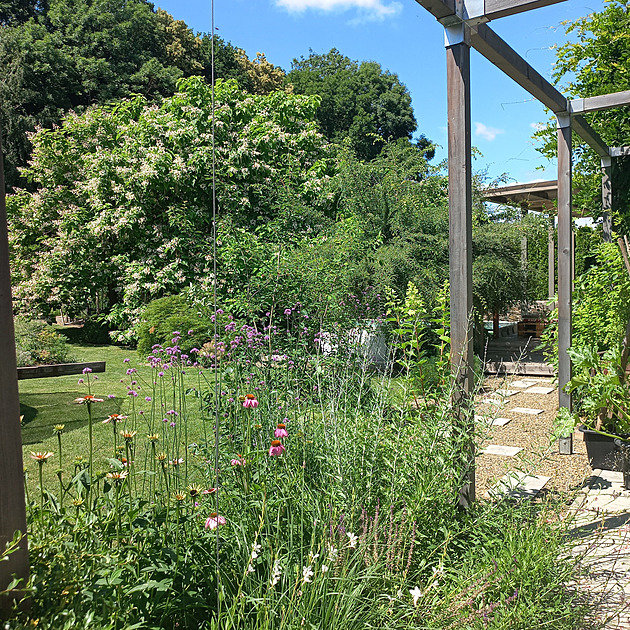 Zahrada, jíž nechali vlastní prostor. A kde mezi záhony vedou trailové tratě