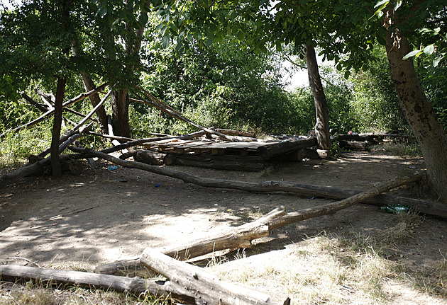 Divočina, nebo upravený park? O podobu zeleně u sídliště se vedou spory