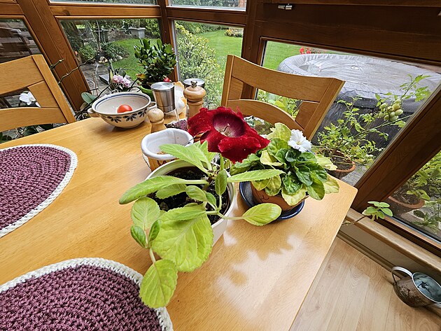 Fotografie pozen smartphonem Samsung Galaxy Z Flip 5