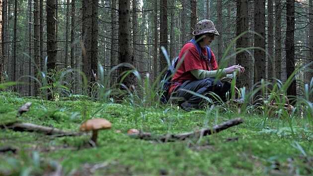 Aktuln roste napklad klouzek, sta hledat kolem modn.