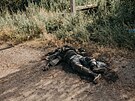 Mrtvé tlo ruského vojáka leí na silnici u jedné z nov dobytých vesnic v...