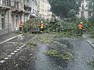 Práci hasi��m komplikuje i hustý dé��. (15. srpna 2023)