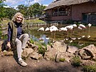 Radana Dungelov� (60 let) je od z��� 2022 �editelkou Zoo Brno. Se sou�asn�m...