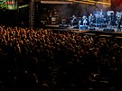 Kapela Praský výbr na festivalu Trutnoff (18. srpna 2023)
