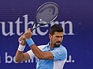 Novak Djokovi na turnaje v Cincinnati