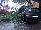 Pra��tí hasi�i zasahovali u n�kolika p�ípadu popadaných strom�. (16. srpna 2023)