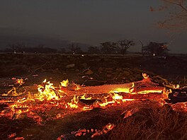 Lesní poár v Kihei na Havaji (9. srpna 2023)