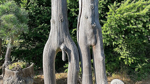 Adam a Eva, chcete-li. Samorosty zn�zor�uj� mu�skou a �enskou postavu.