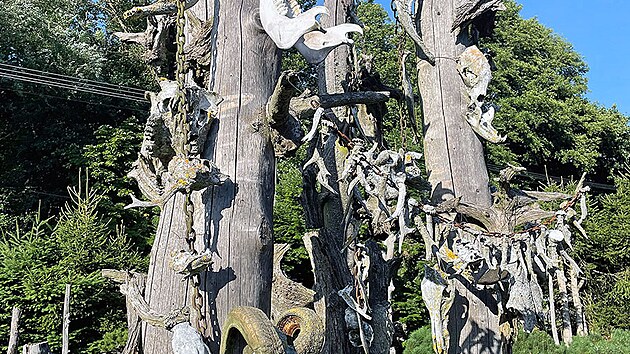 Muzeum vypad� trochu jak hororov� zahr�dka n�jak� �arod�jnice.