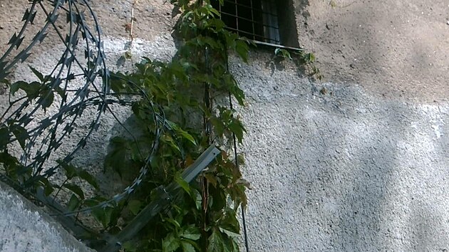 Kabel vedl do okna blzkho vybydlenho domu. (11. srpna 2023)