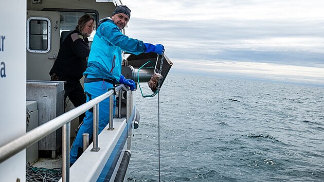Snmek z odlovu raloka malohlavho pi expedici Neuron 2022