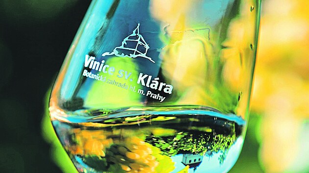 V�ce o vinobran� i zahrad� najdete na botanicka.cz.