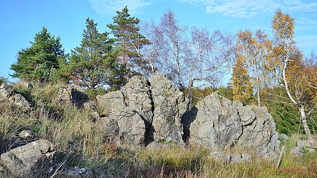 V lokalit Nrodn prodn rezervace Kky ve Slavkovskm lese se vyskytuj vzcn druhy rostlin a liejnk.