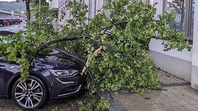 Prat hasii vyjdli k nkolika ppadm popadanch strom. (16. srpna 2023)