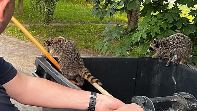 Berl�n�t� policist� zachra�ovali z popelnice najeden� m�valy. (14. srpna 2023)